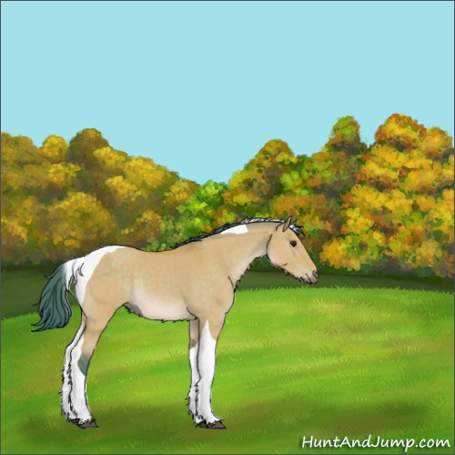 Horse Color:Watercolor Bay Dun Tobiano Rabicano 