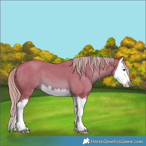 Horse Color:Watercolor Chestnut Splash 