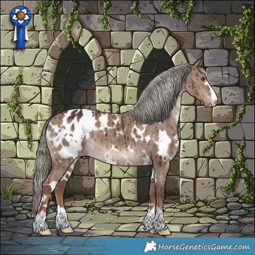 Horse Color:White Spotted Liver Red Dun Mushroom Blanket Brindle 