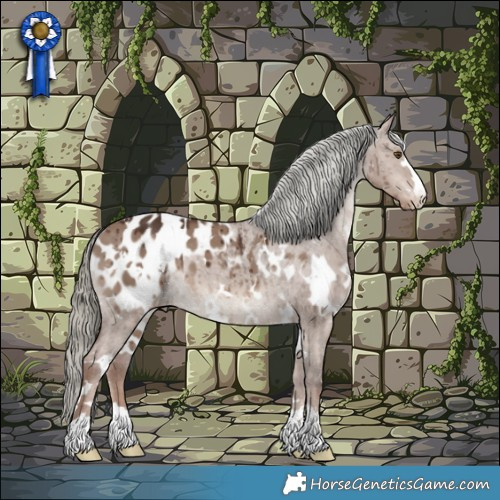 Horse Color:White Spotted Liver Red Dun Mushroom Appaloosa Brindle 