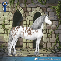 Horse Color:White Spotted Liver Red Dun Mushroom Appaloosa Brindle 