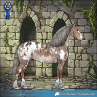 Horse Color:White Spotted Liver Red Dun Mushroom Blanket Brindle 