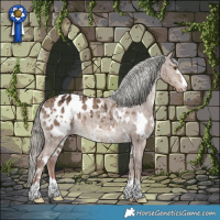 Horse Color:White Spotted Liver Red Dun Mushroom Appaloosa Brindle 