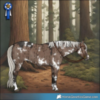 Horse Color:White Spotted Liver Red Dun Mushroom Brindle