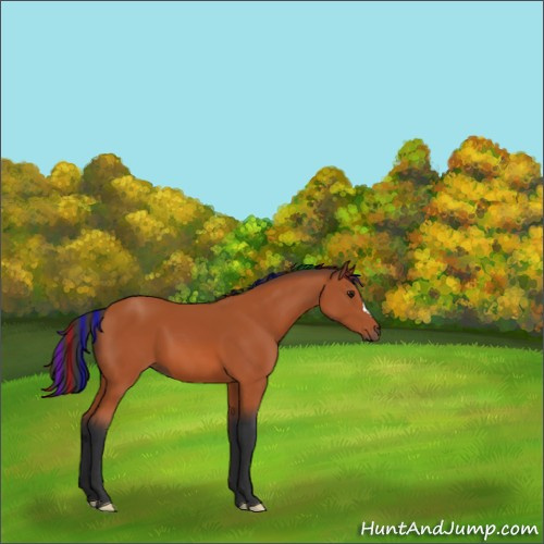 Horse Color:Painted Brown 
