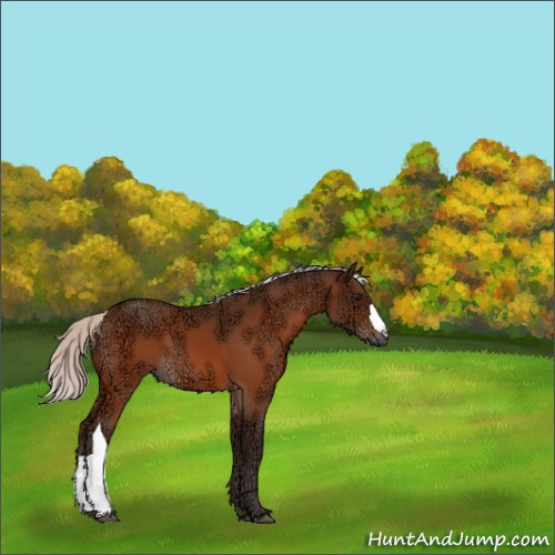 Horse Color:Silver Bay Ice 