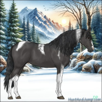Horse Color:Black Tobiano