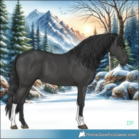 Horse Color:Black Tobiano 