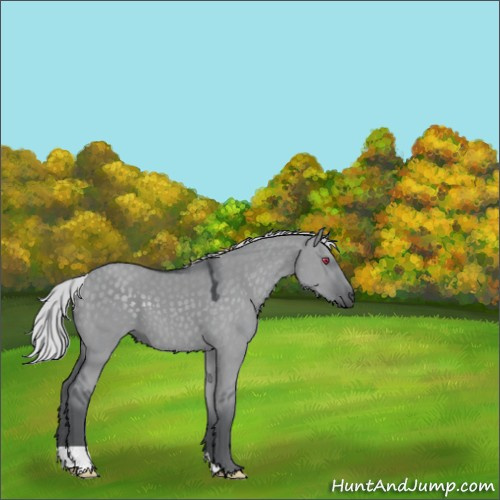 Horse Color:Silver Grullo Chinchilla 