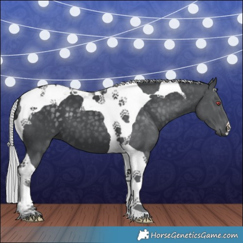 Horse Color:Silver Black Chinchilla Tobiano 