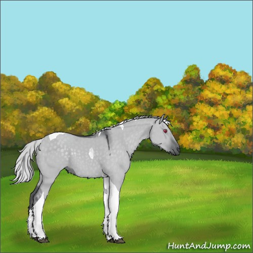 Horse Color:Silver Grullo Chinchilla Tobiano 