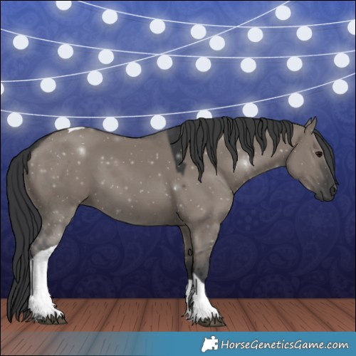 Horse Color:Grullo Tobiano 