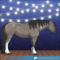 Horse Color:Grullo Tobiano 