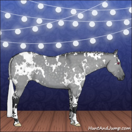 Horse Color:White Spotted Silver Grullo Chinchilla 