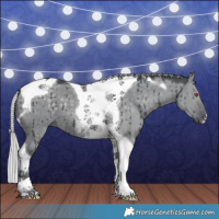 Horse Color:Silver Grullo Chinchilla Tobiano Brindle 