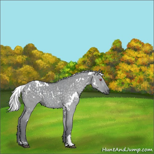 Horse Color:White Spotted Silver Grullo Chinchilla 