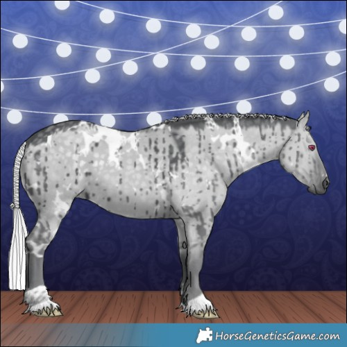 Horse Color:White Spotted Silver Grullo Chinchilla Brindle 