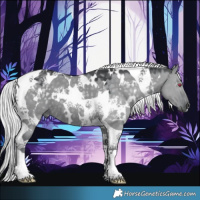 Horse Color:White Spotted Silver Grullo Chinchilla Tobiano