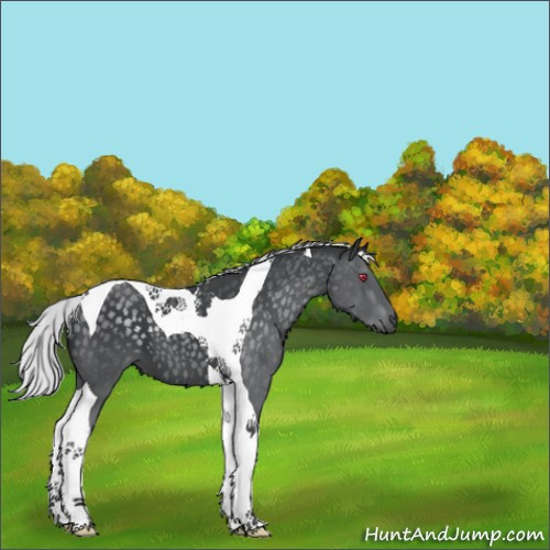 Horse Color:Silver Black Chinchilla Tobiano 