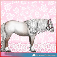 Horse Color:Gray Silver Black Pearl Tobiano