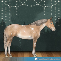 Horse Color:White Spotted Chocolate Palomino Pearl 
