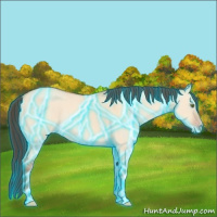 Horse Color:Thunderstruck Amber Champagne Dun 