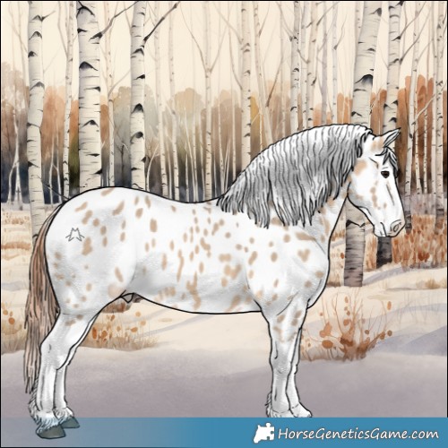 Horse Color:Bay Dun Splash Appaloosa 