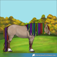 Horse Color:Painted Liver Red Dun 