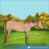 Horse Color:Painted Red Dun