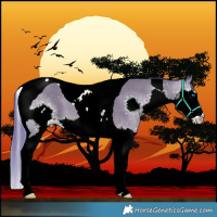 Horse Color:Watercolor Smoky Grullo Sabino Splash Tobiano