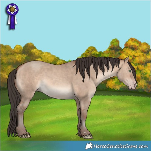Horse Color:Sable Champagne Dun Rabicano 