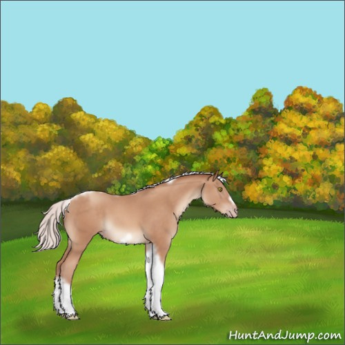 Horse Color:Silver Sable Champagne Tobiano Frame 