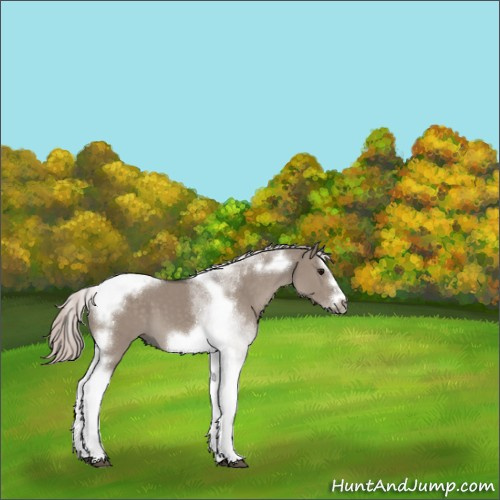 Horse Color:Silver Grullo Splash Tobiano Frame 