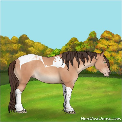 Horse Color:Sable Champagne Tobiano Rabicano 