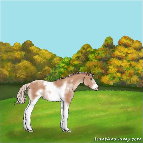 Horse Color:White Spotted Silver Sable Champagne Tobiano Frame Rabicano 