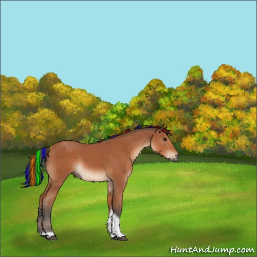 Horse Color:Painted Bay Sabino Tobiano 
