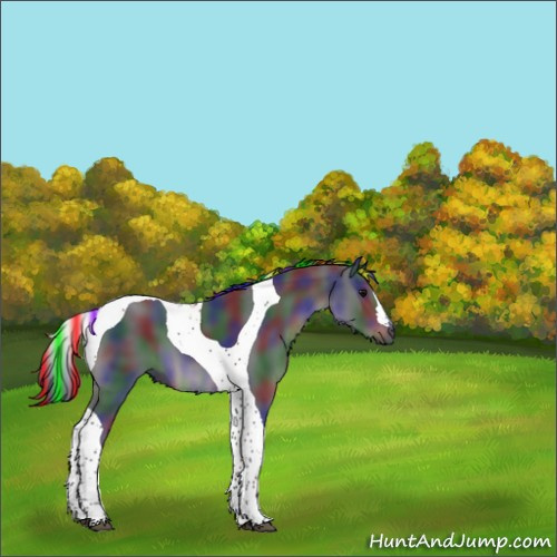 Horse Color:Painted Nacre Black Tobiano 