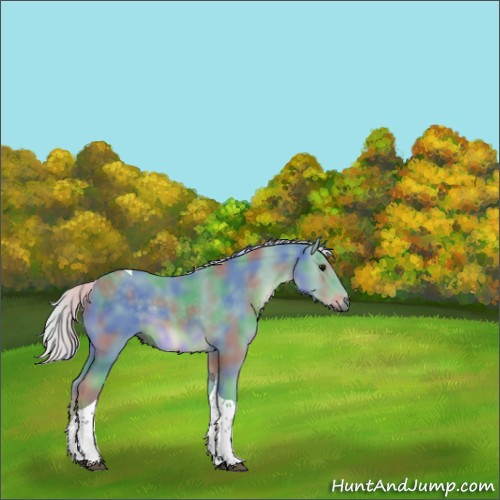 Horse Color:Nacre Watercolor Silver Smoky Black Tobiano 