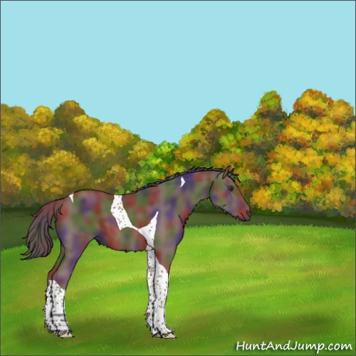 Horse Color:Nacre Liver Chestnut Tobiano 