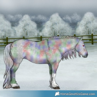 Horse Color:Nacre Silver Grullo Chinchilla Tobiano 