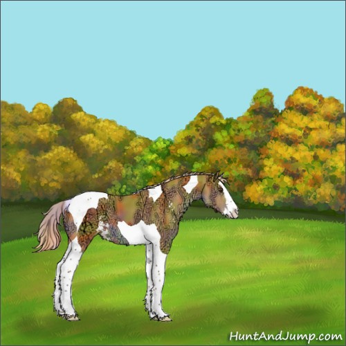 Horse Color:Nacre Watercolor Liver Chestnut Ice Sabino Splash Tobiano 