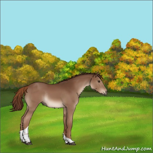 Horse Color:Liver Chestnut Tobiano Rabicano 