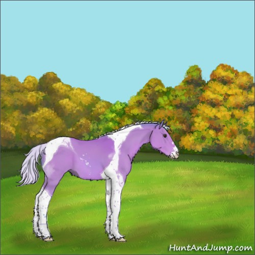 Horse Color:Watercolor Silver Brown Sabino Tobiano 