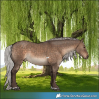 Horse Color:Silver Brown Dun Tobiano Rabicano