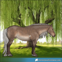 Horse Color:Silver Brown Dun Tobiano Rabicano 