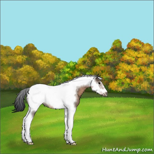 Horse Color:Brown Dun Tobiano Frame 
