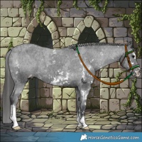 Horse Color:Black Sabino Varnish Rabicano