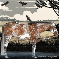 Horse Color:White Spotted Buckskin Splash