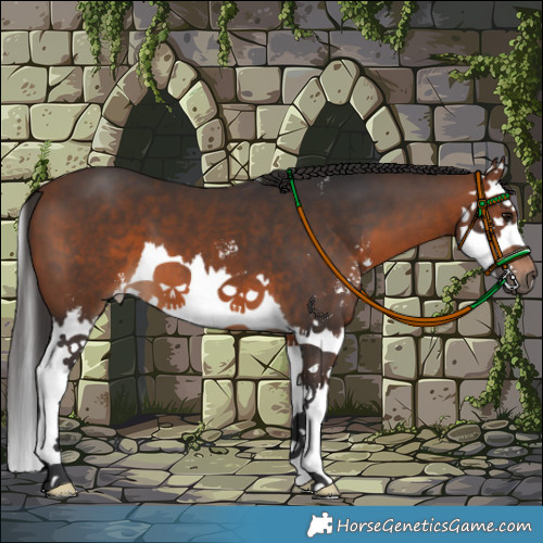 Horse Color:Brown Sabino Splash 