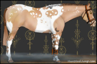 Horse Color:Bay Pearl Tobiano